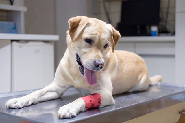 Wound Care