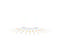 Vet Urine Test Strips 10 Way