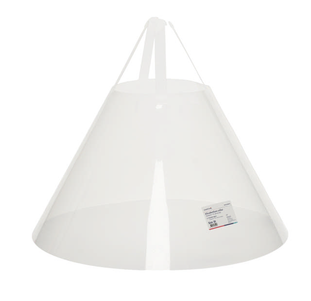 Elizabethan Collar