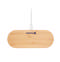 Induction Charger