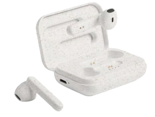 Earphones